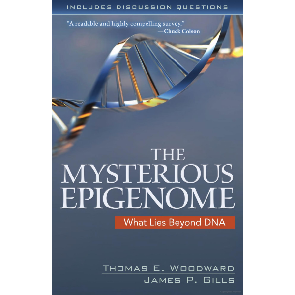 The Mysterious Epigenome, What Lies Beyond DNA