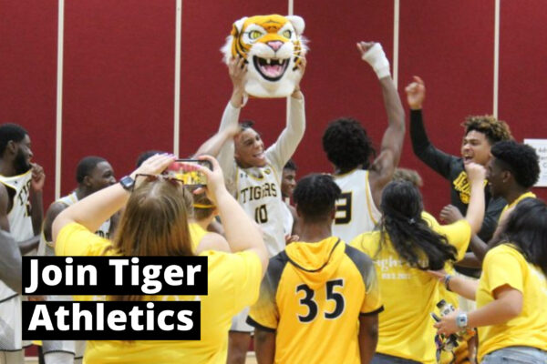 tiger athletics-1