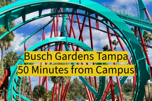 Busch Gardens