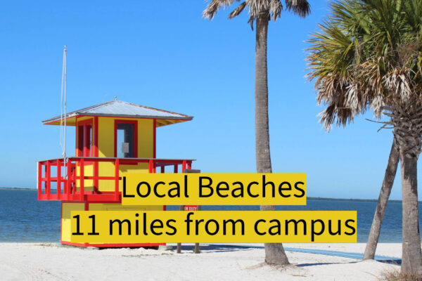 local beaches